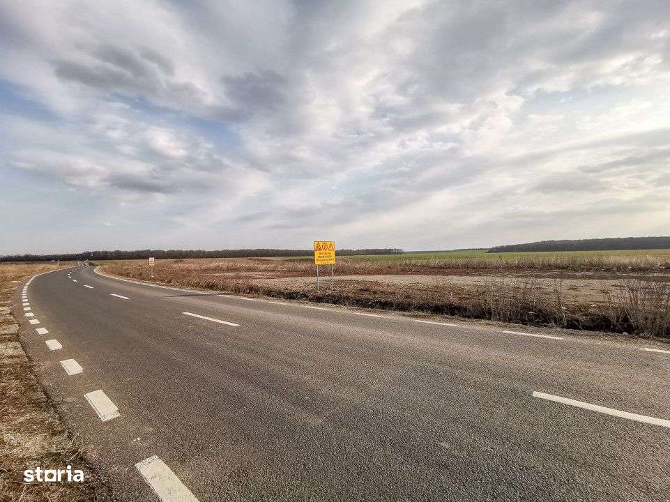 Teren intravilan la asfalt si statie autobuz Ilfov Cernica Posta-11