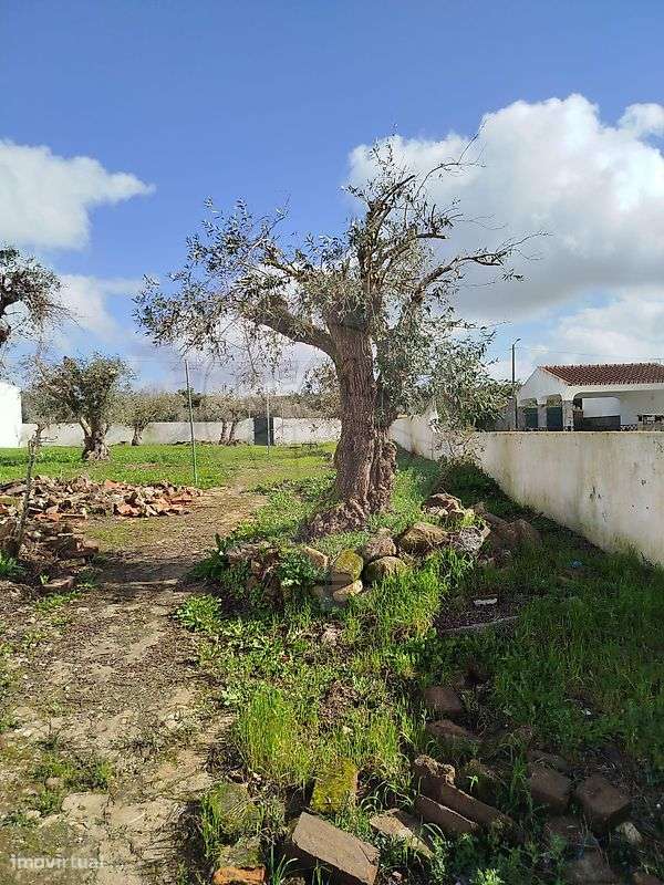 Moradia T2 para venda-14