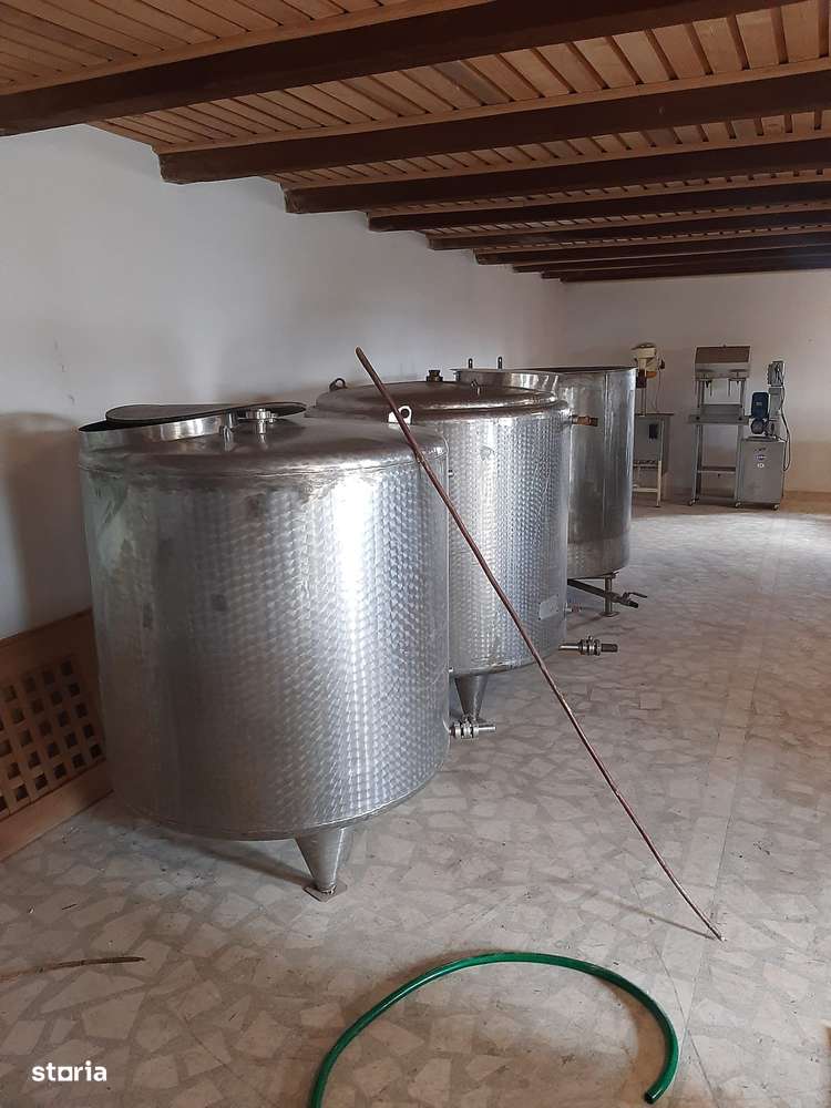 Afacere viticolă la cheie–cramă,linie îmbuteliere zonă viticolă de top - Imagine principală: 5/18