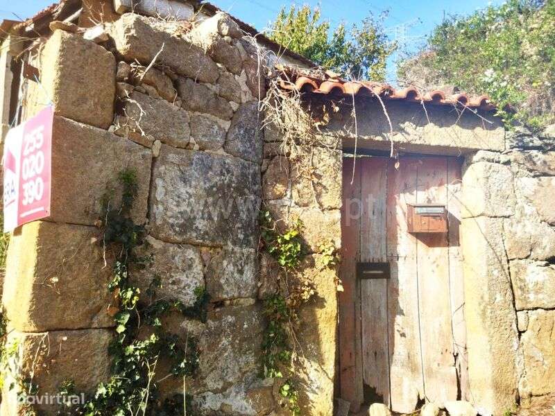 Quintinha / Cinfães, São Cristóvão de Nogueira - Grande imagem: 2/14