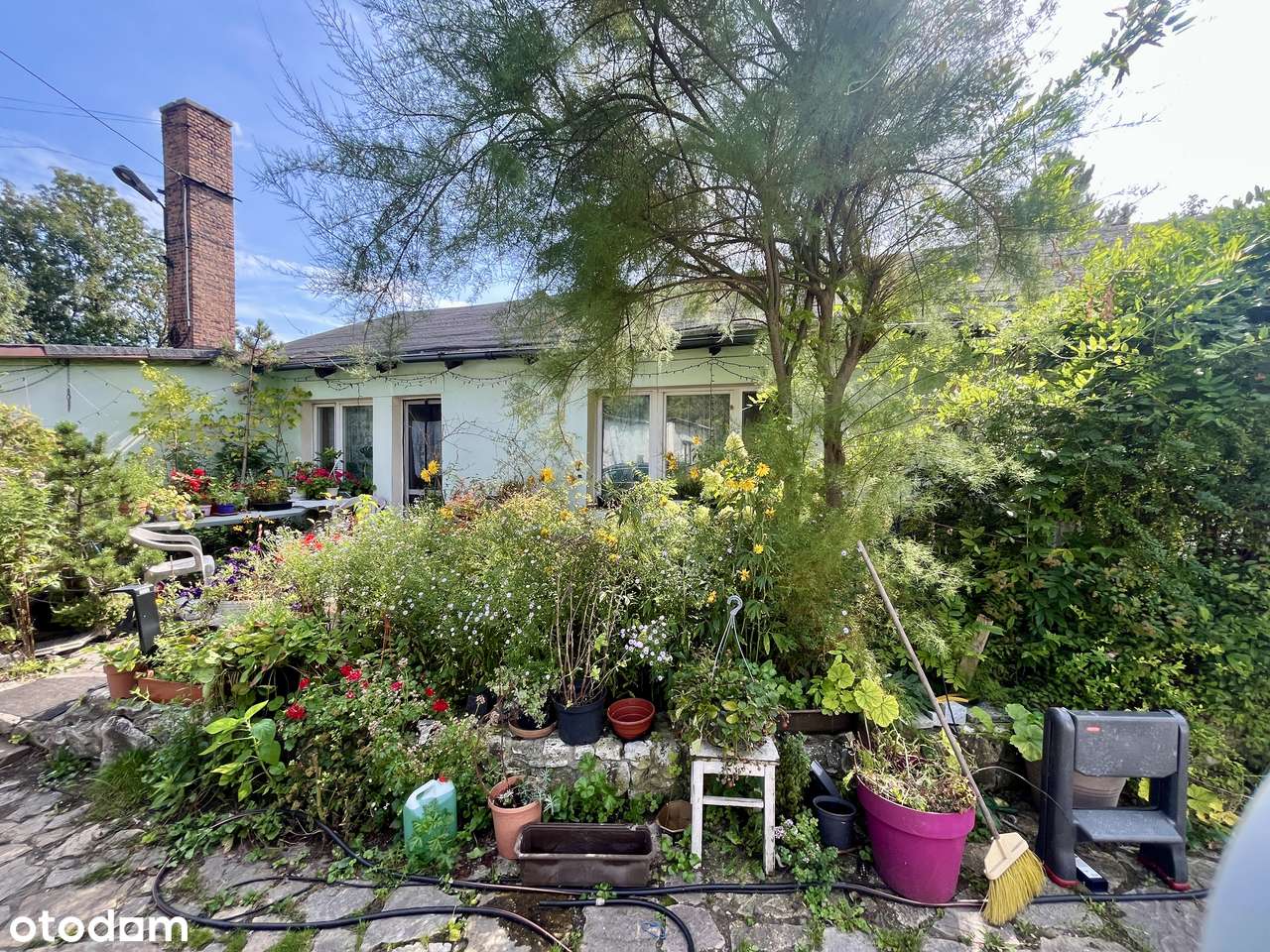 Działki inwestycyjne mieszkaniowo-usługowe-8