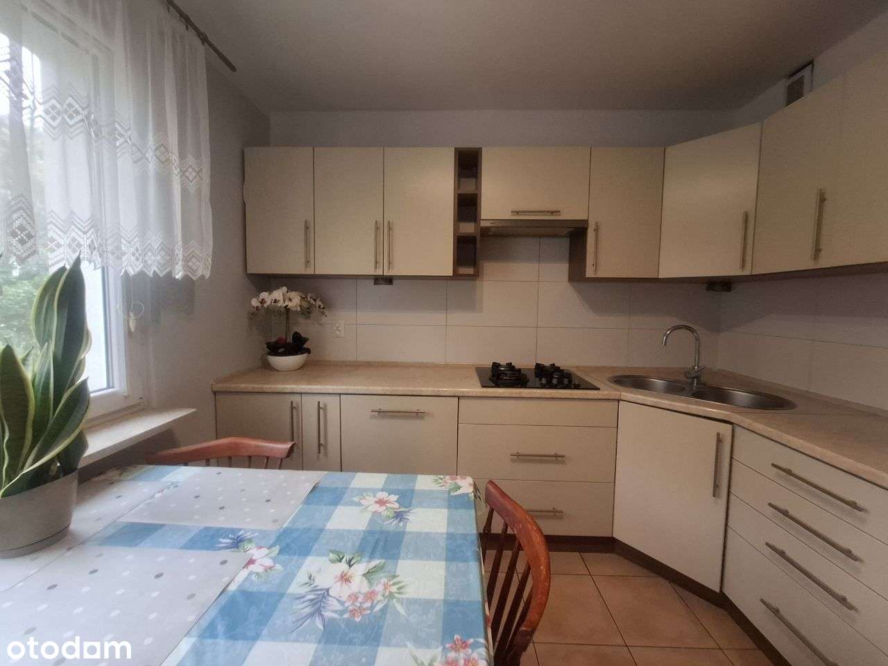 Mieszkanie 2 pokojowe, I piętro Kopernik-1