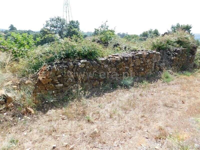 Terreno / Fundão, Pêro Viseu - Grande imagem: 5/14