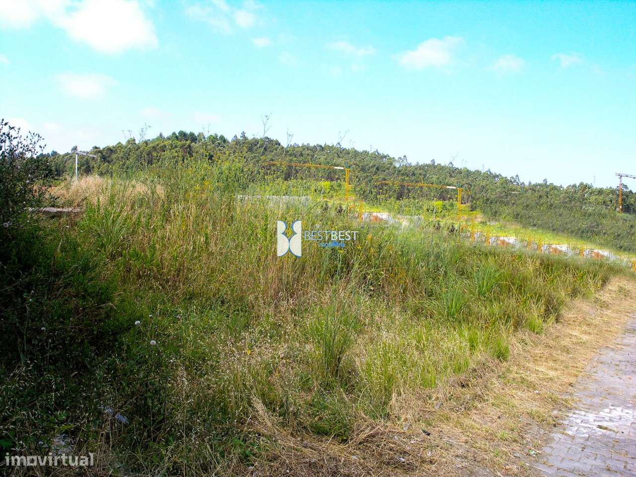 TERRENO PARA CONSTRUÇÃO DE EDIFÍCIO EM RIBEIRÃO - Grande imagem: 4/4