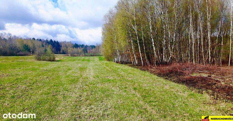 Malownicza działka 1517m² Masłów, ul.Spacerowa - Pełny obrazek: 4/5