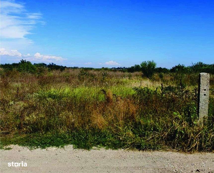 TEREN LA LAC - direct de la proprietar - 2700 mp - SAMURCAȘI- CREVEDIA-4