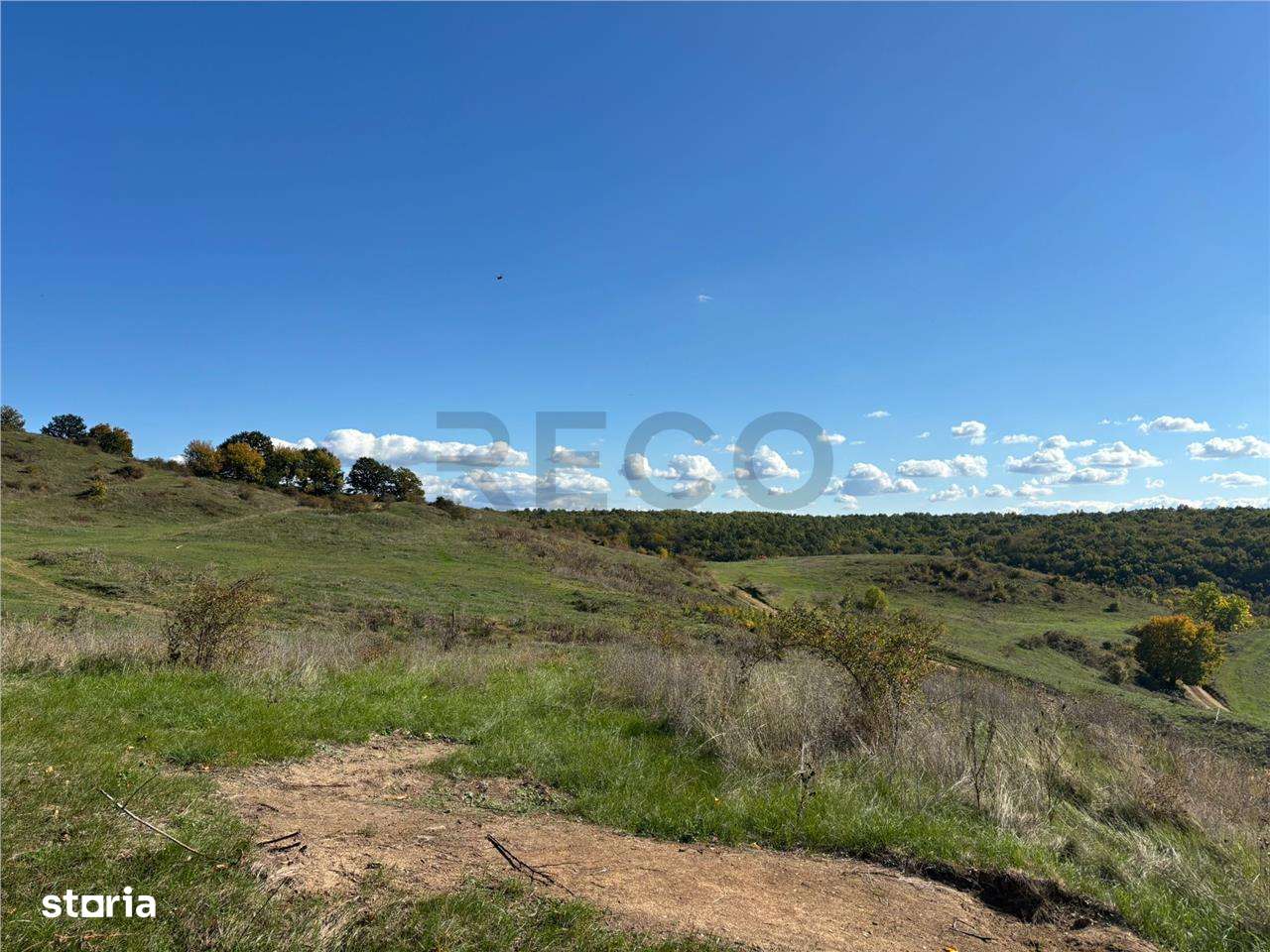 RECO Teren intravilan Betfia - Imagine principală: 2/3