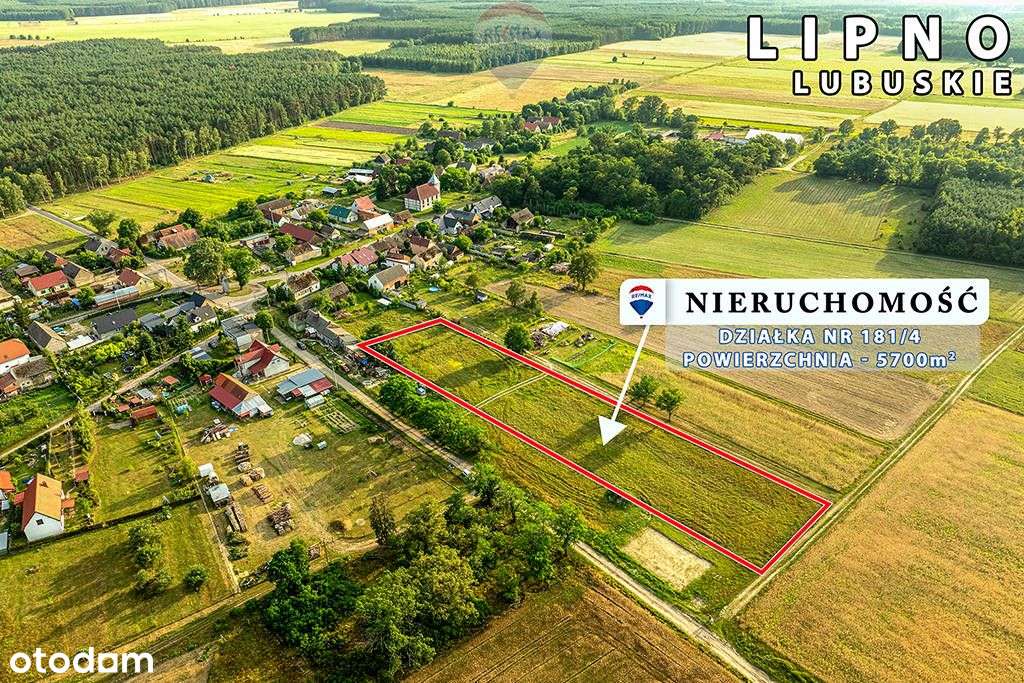 Na sprzedaż działka rolna z warunkami zabudowy - Pełny obrazek: 3/12