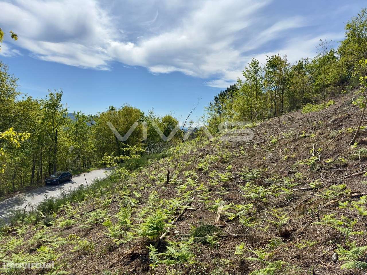 Terreno para construção em Ponte, Vila Verde - Grande imagem: 5/8