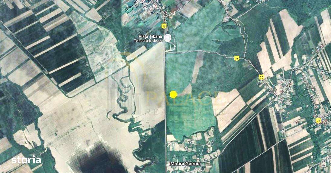 Teren agricol 64 ha comasat| Deschidere 800 m la drum comunal | Utilit - Imagine principală: 3/3