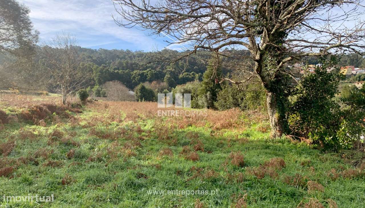 Terreno com vista mar para venda, Moledo, Caminha - Grande imagem: 4/9