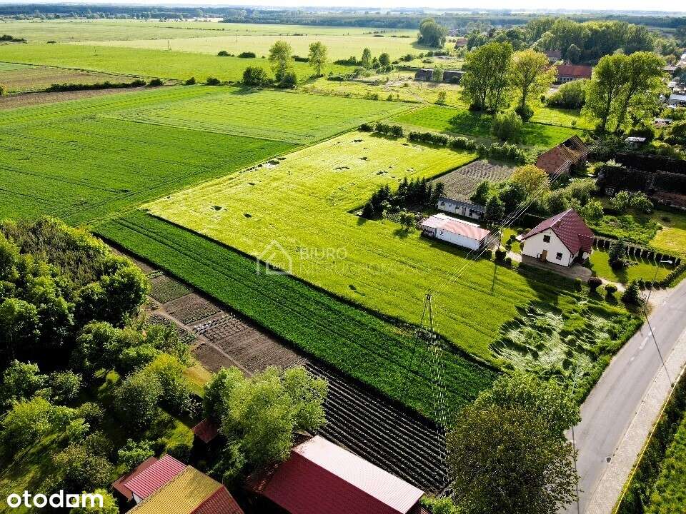 Działka budowlana Czernina Dolna 1500 m2 - Pełny obrazek: 3/5