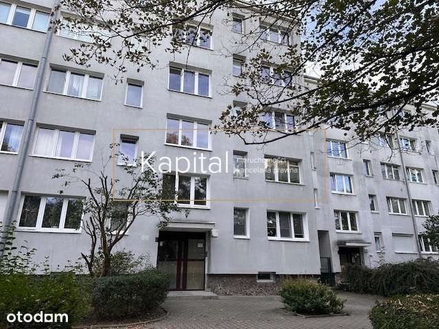 Osobna kuchnia, centrum, zielono, słoneczne;-3