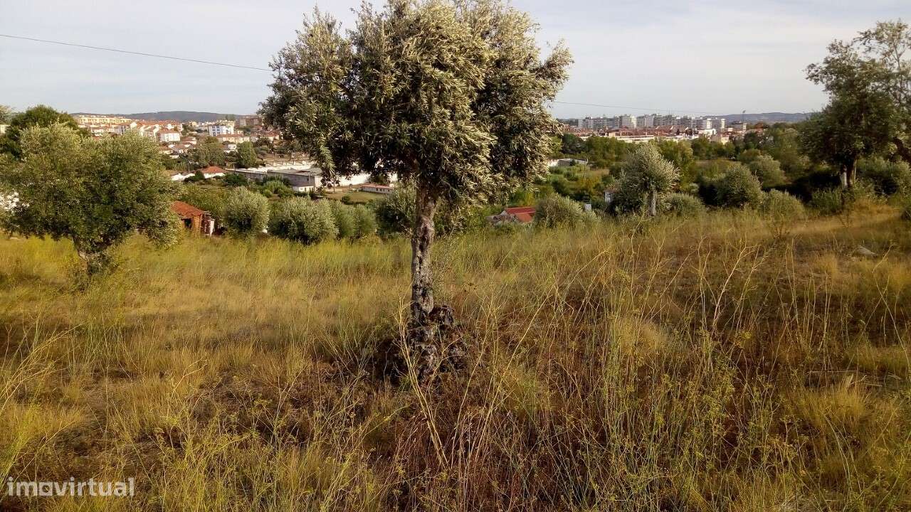 Terreno p/Construção - T2735/21 - Grande imagem: 4/6