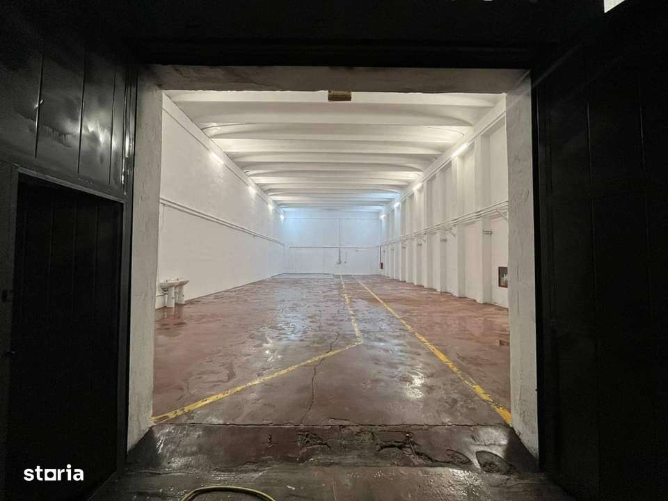 Hale de inchiriat - Imagine principală: 5/5