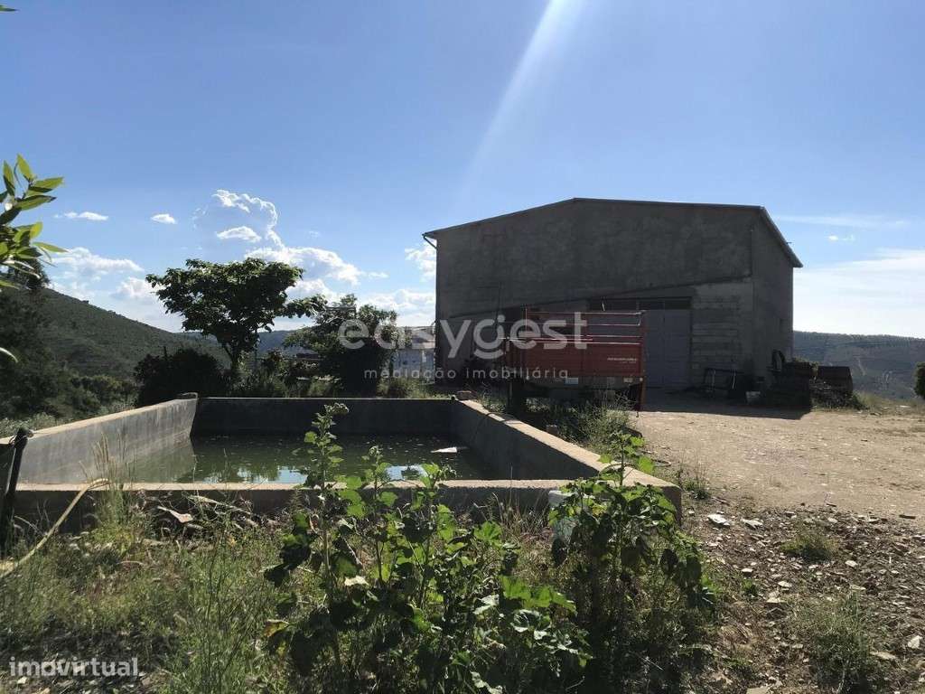 Magnifica Quinta com vinha e Olival situada em Mós Vila Nova Foz Côa - Grande imagem: 5/21