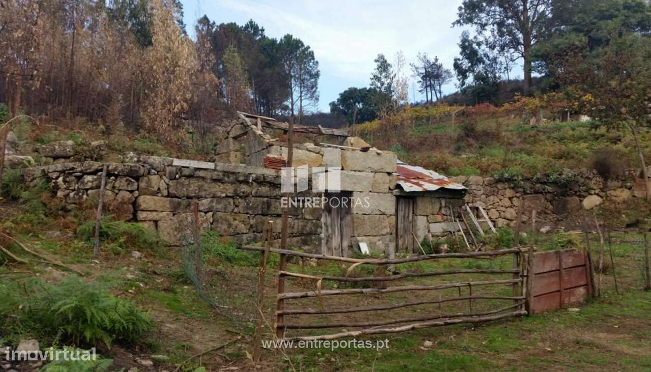 Venda Quinta, Penhalonga, Marco de Canaveses - Grande imagem: 5/13