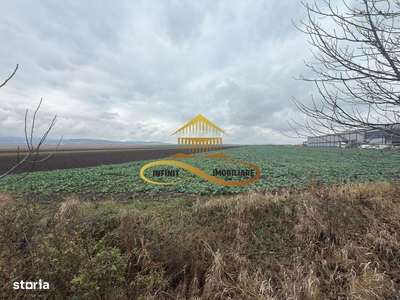 Teren industrial de vanzare in Bacau zona RAR - Imagine principală: 4/6