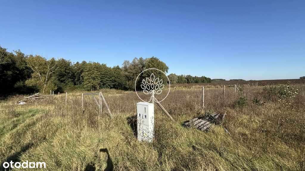 Prawie pół hektara Szcutki - warunki zabudowy - Pełny obrazek: 4/7