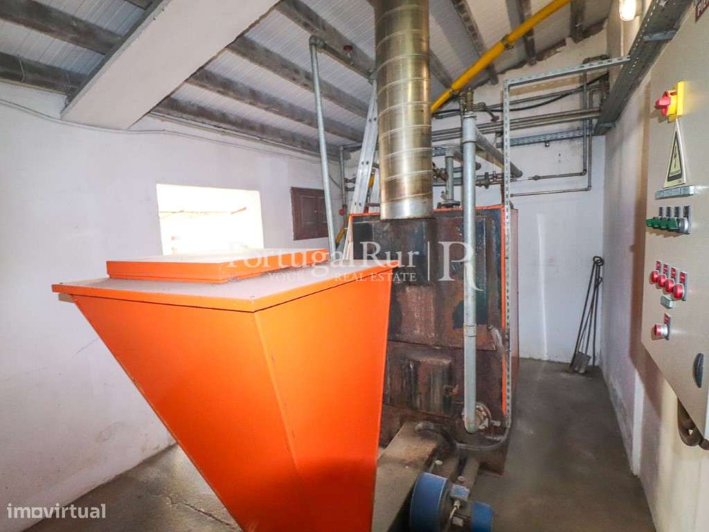 Unidade Industrial de Produção de Azeite & Elevado Potencial Produtivo-36
