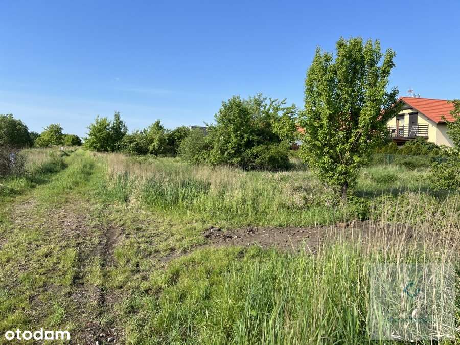 Działki inwestycyjne w Wołczkowie.-2