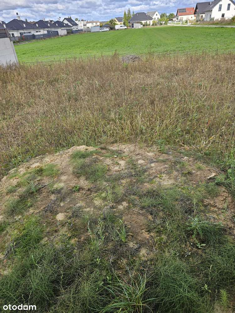 Sprzedam Dom w zabudowie bliźniaczej - Pełny obrazek: 4/6