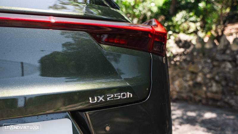 Lexus UX 250h Sport (Ecrã 12.3) - 10