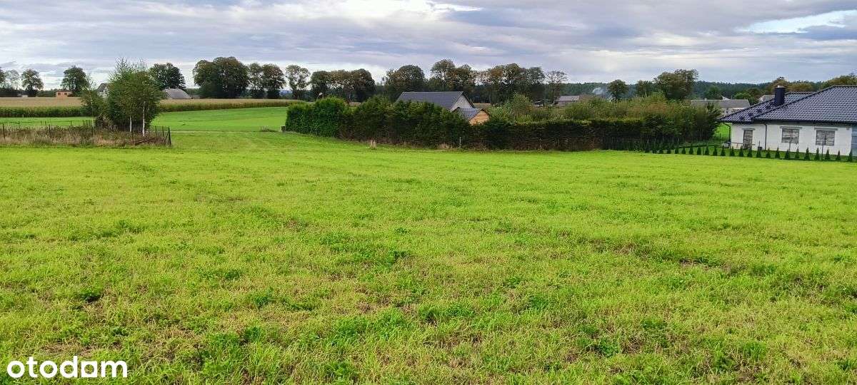 Działka w Wyszecinie k. Luzina z Mpzp - Pełny obrazek: 5/14