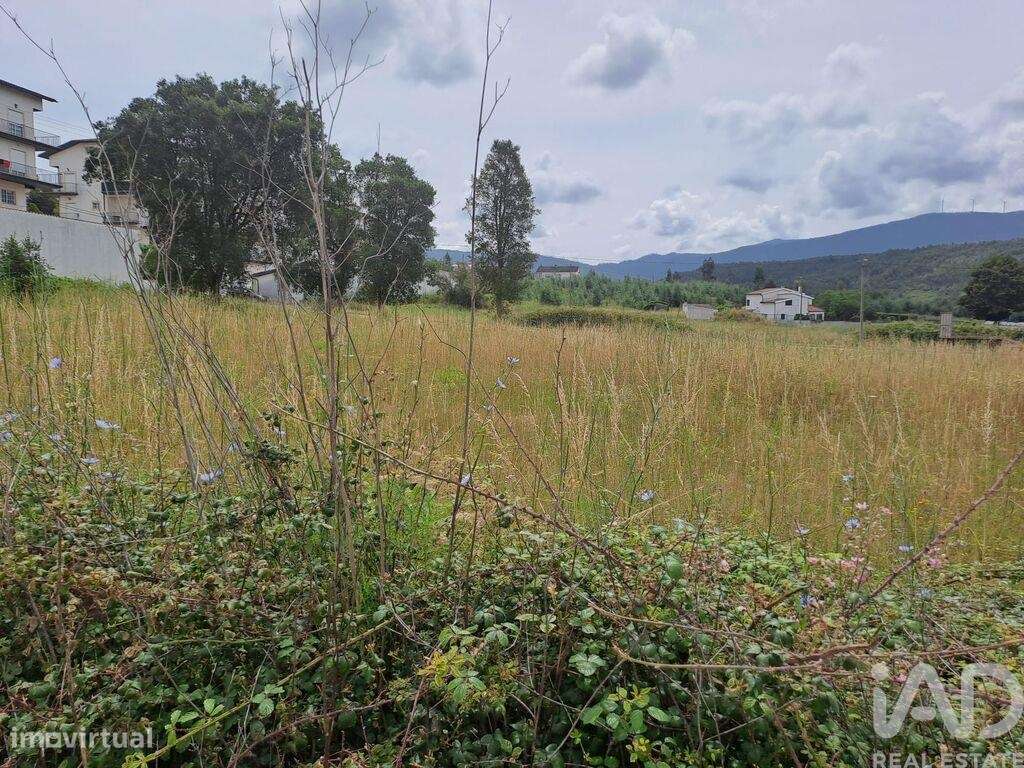 Terreno em Serpins de 250,00 m2 - Grande imagem: 3/3