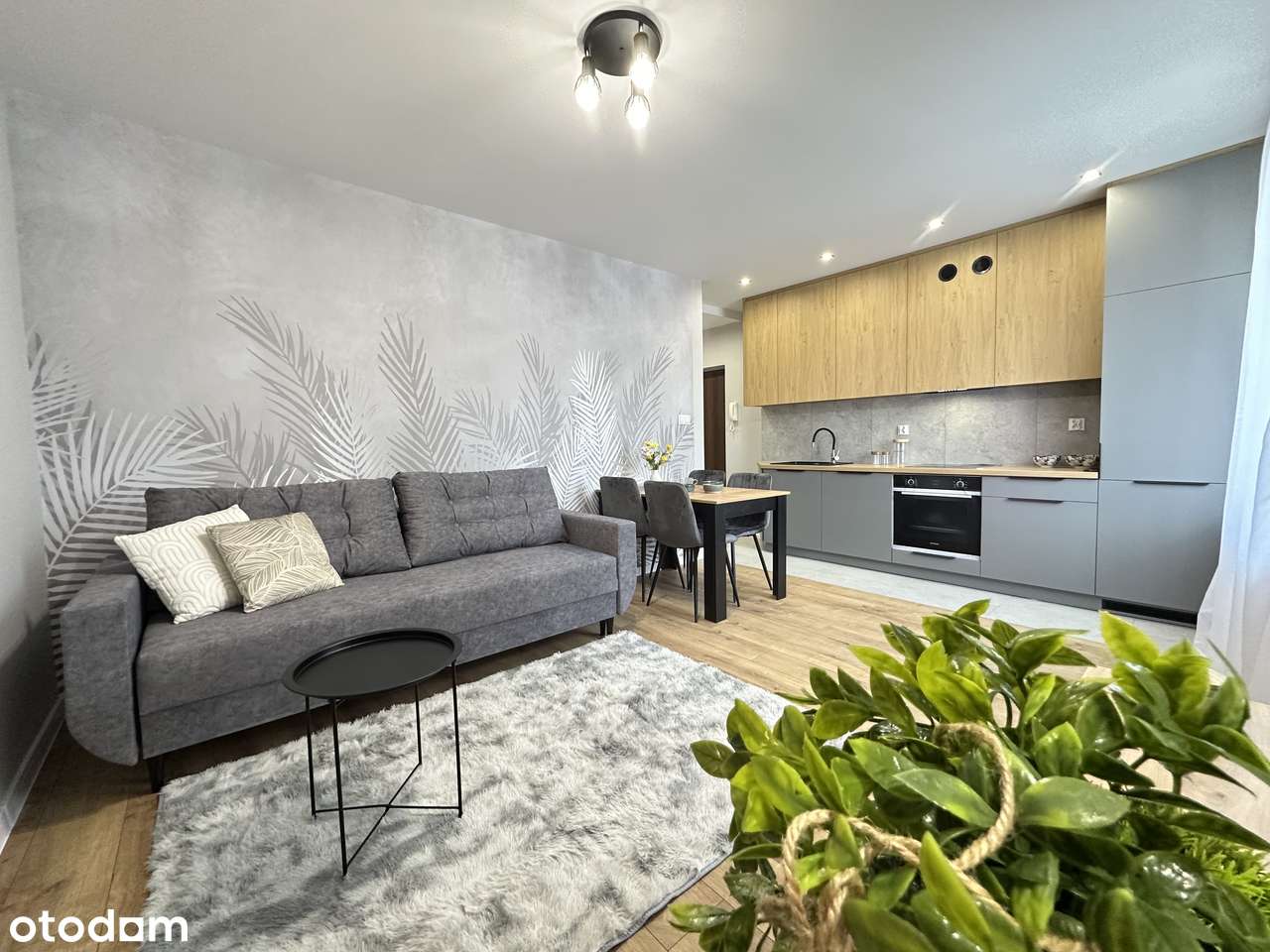 Mieszkanie PO REMONCIE | 49m2 Mielec | 3-pokoje| 2-piętro - Pełny obrazek: 4/10