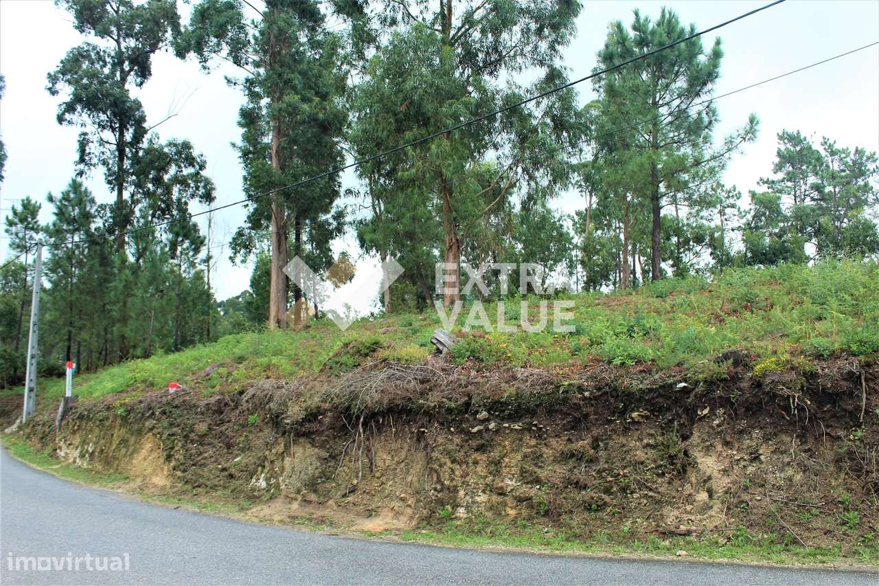 Terreno Para Construção  Venda em Ardegão, Freixo e Mato,Ponte de Lima - Grande imagem: 3/19