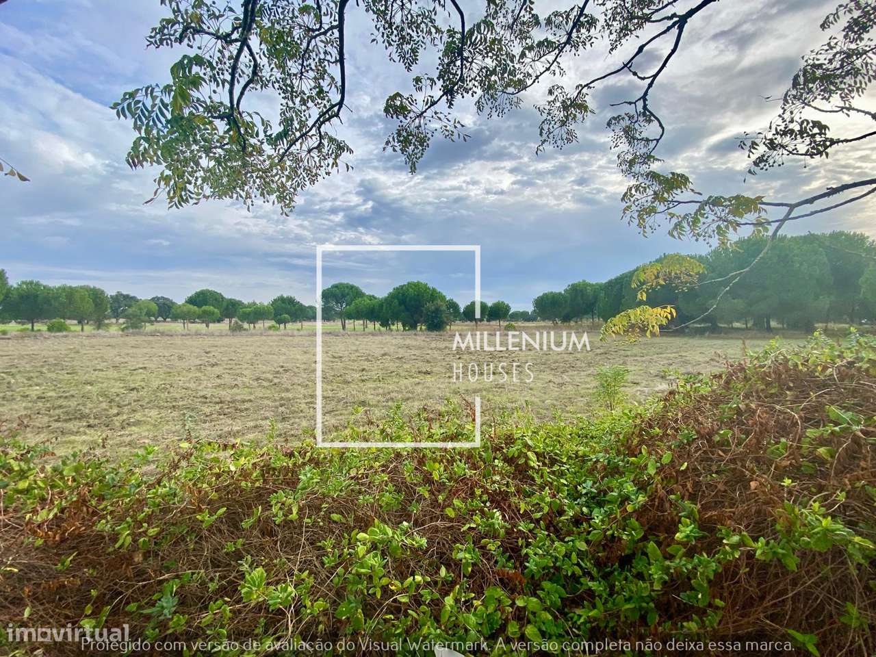 Terreno Urbano | 1. ª LINHA GOLFE | Vila Nova de Santo Estêvão-3