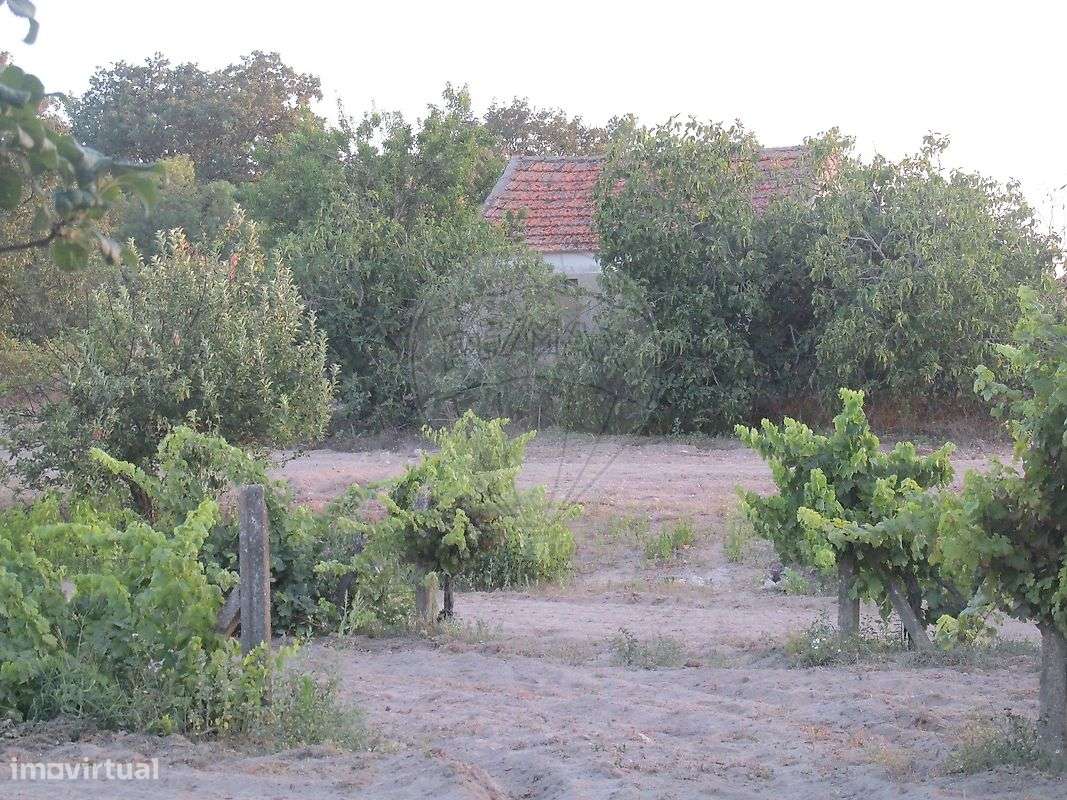 Quinta  para venda - Grande imagem: 4/12
