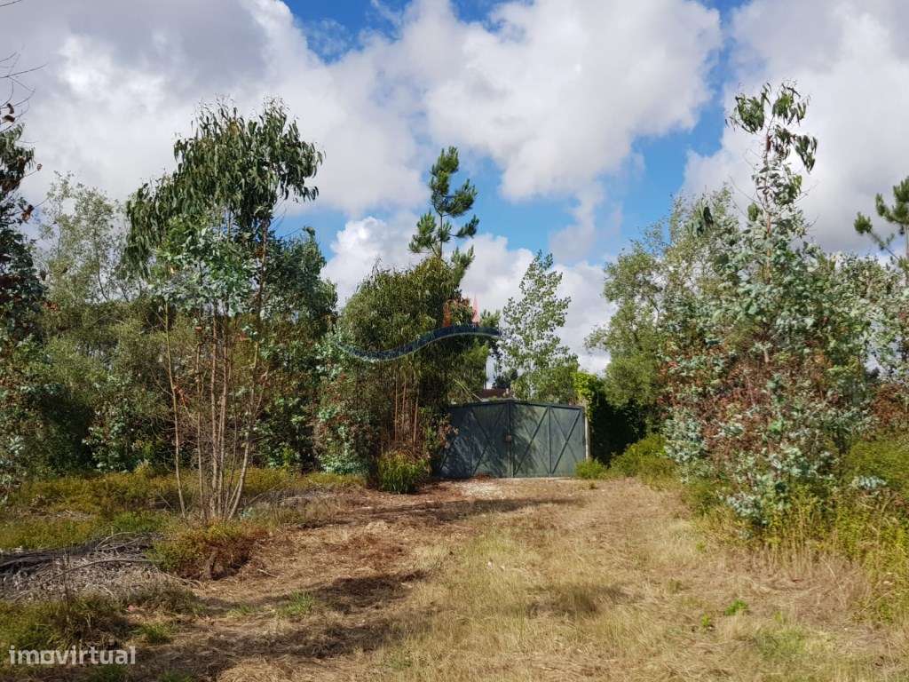 Terreno - Zona Monte Real - Grande imagem: 2/41