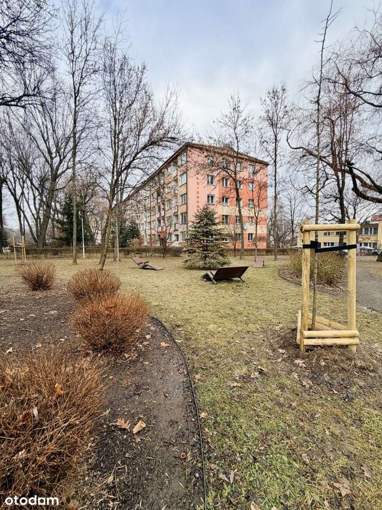 2 pokoje, 1 piętro, Jesionowa – do remontu-14