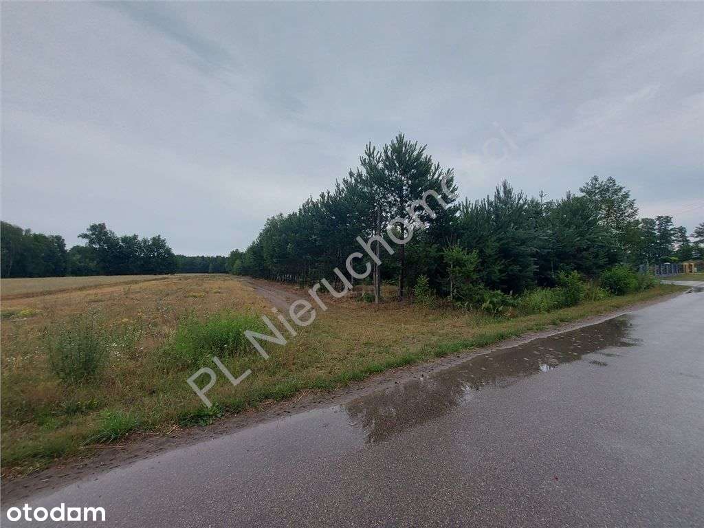 Działka Budowlana W Głuszy Rezerwatu-3