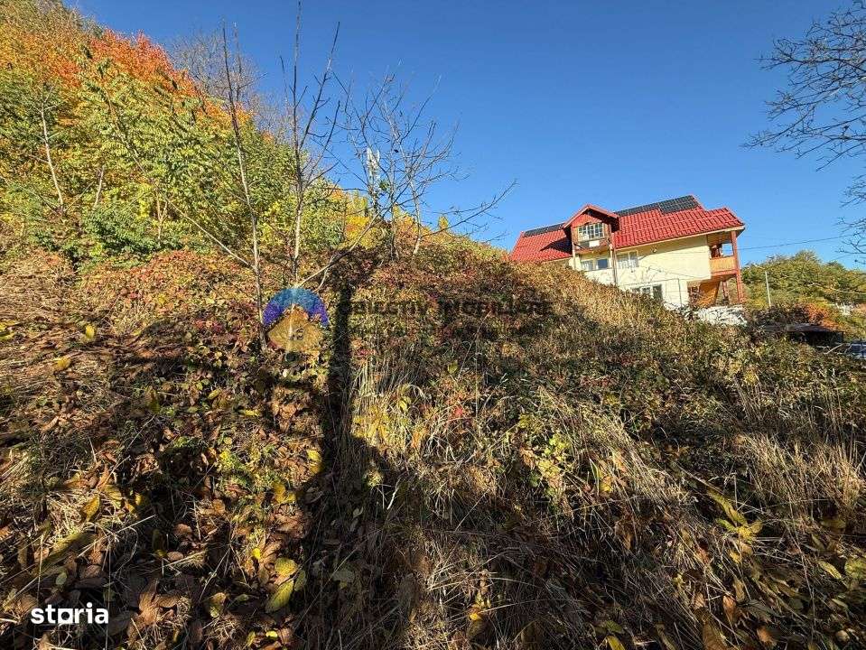 Teren intravilan 1543 mp – zona Darmanesti-4