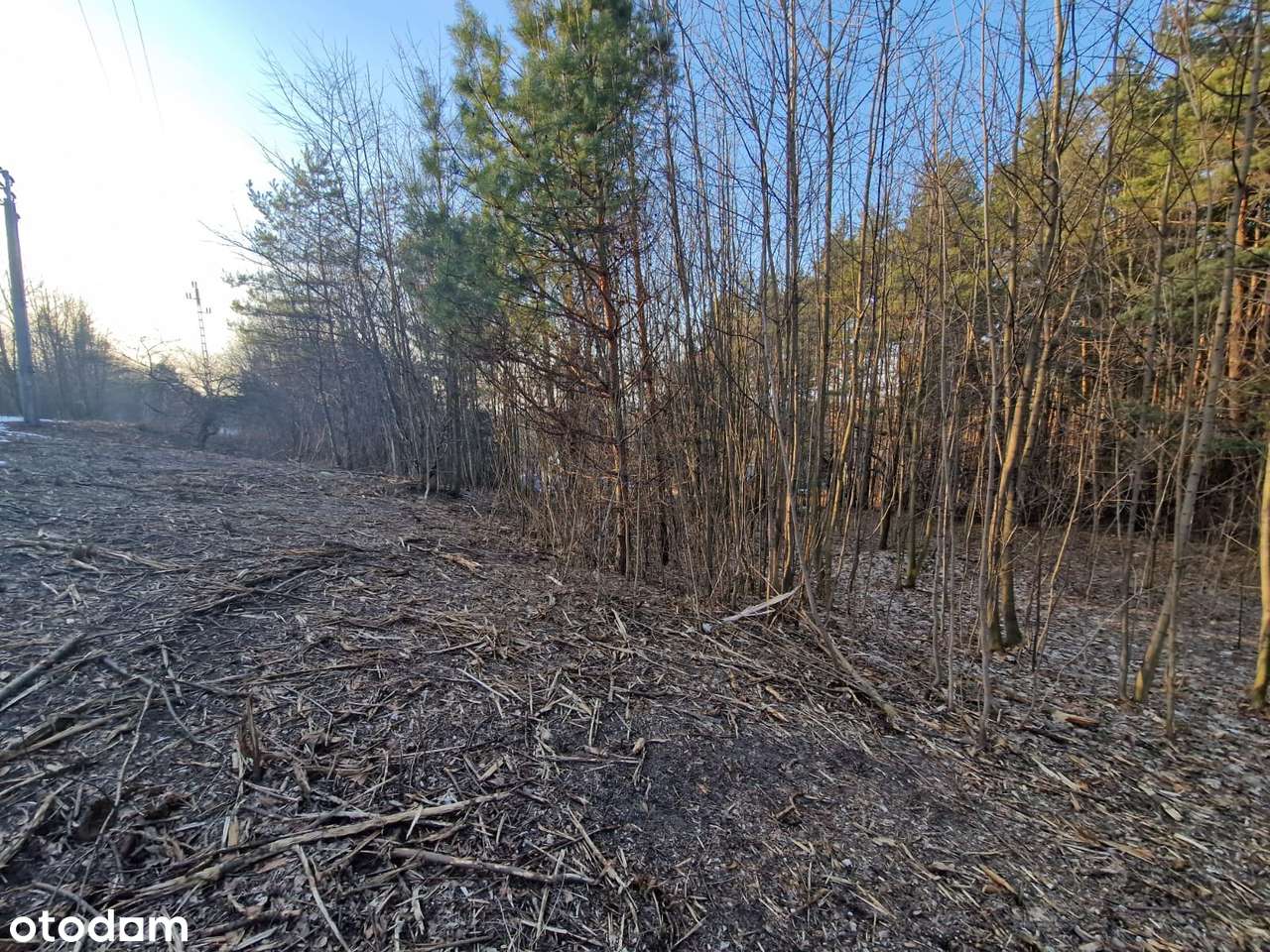 Syndyk sprzeda nieruchomość w miejscowości Klucze - Pełny obrazek: 5/5