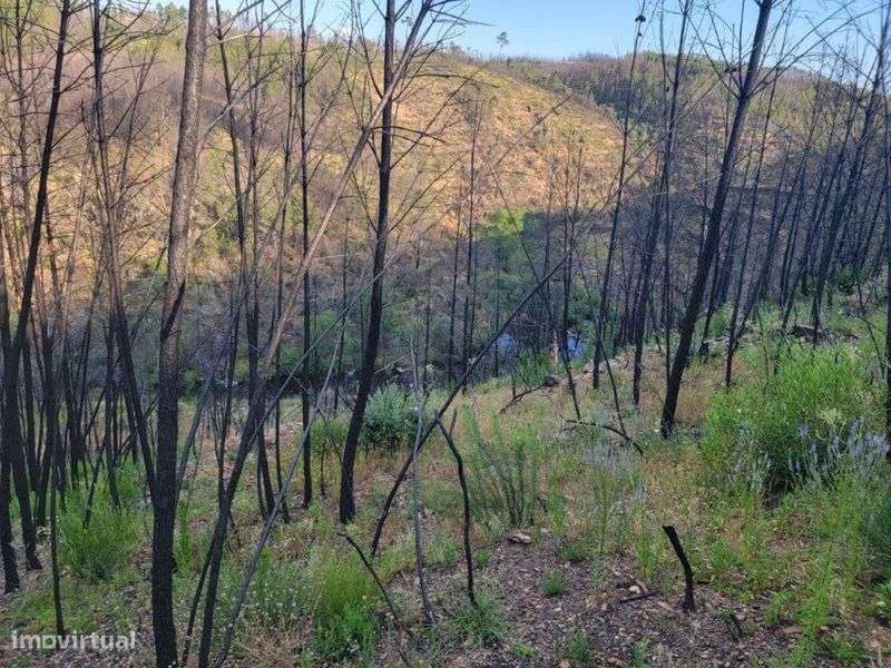 Terreno para venda - Grande imagem: 5/5