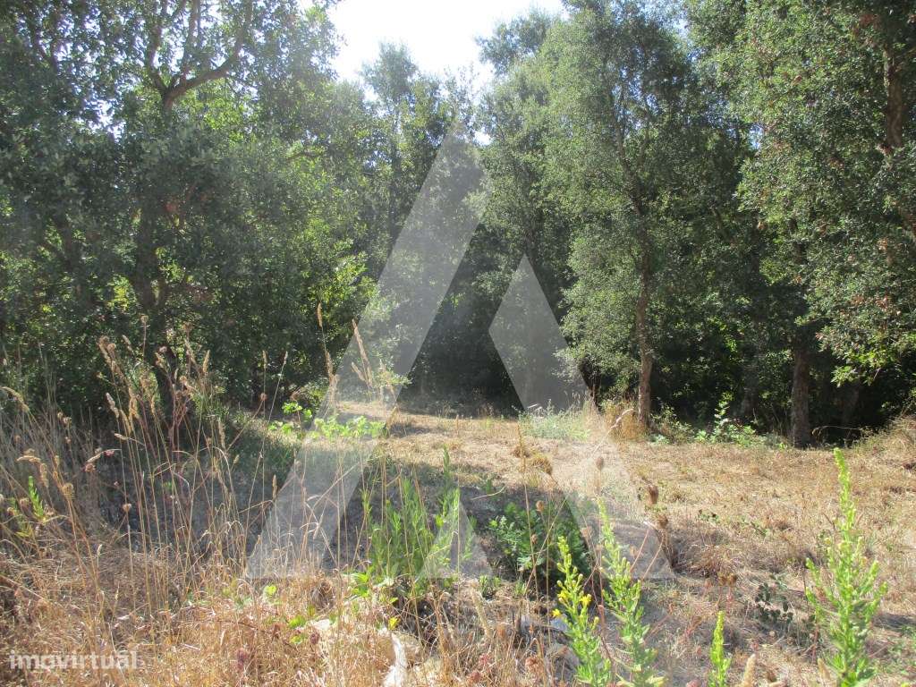 Terreno em Oiã-4