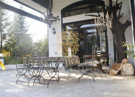 Vila pe malul Lacului Snagov, Piscina, 2 Foisoare, Garaj - Imagine principală: 5/20