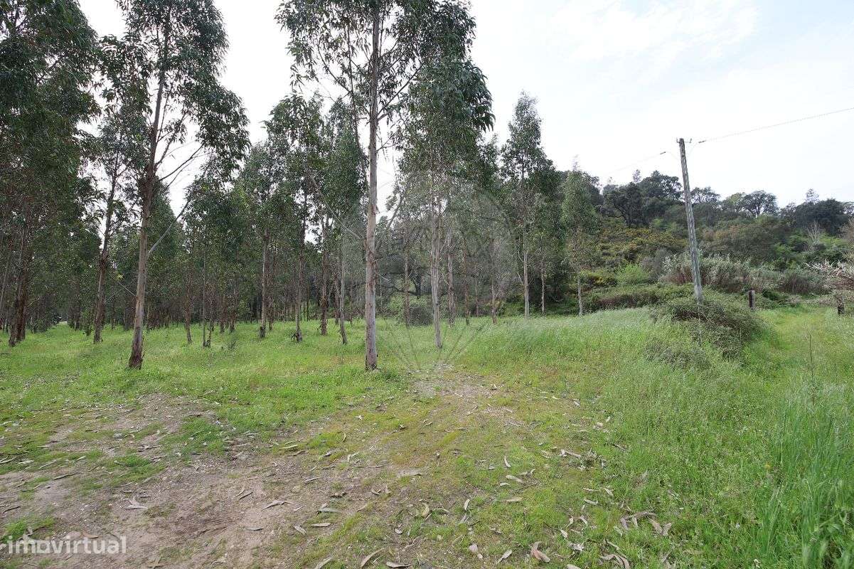 Terreno  para venda - Grande imagem: 4/14