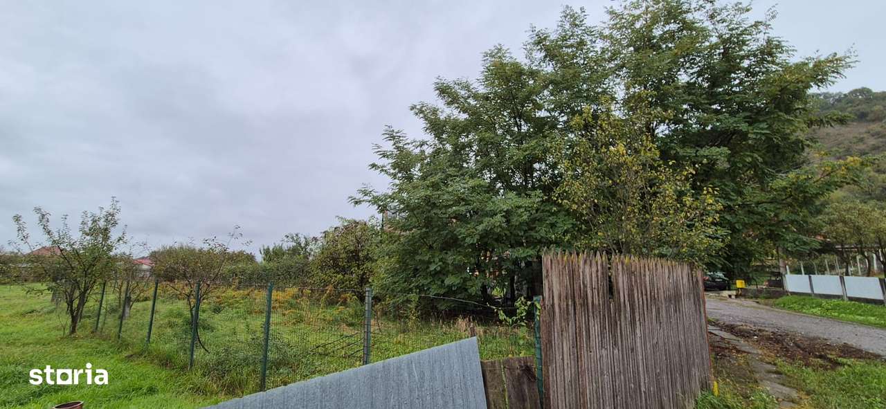 De vanzare teren 500 mp - sat Tirimioara-2