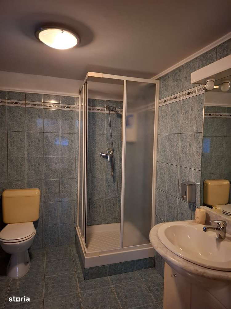 Casa D+P+E, Lipovei-Iulius Mall-9