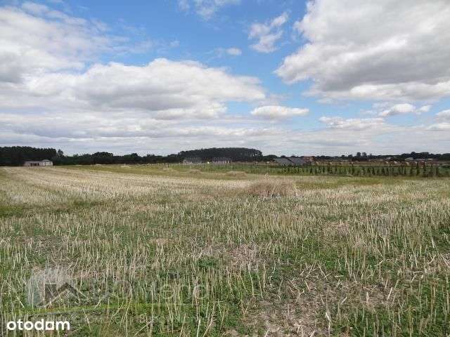 Działka, 1 300 m², Pniówek-5