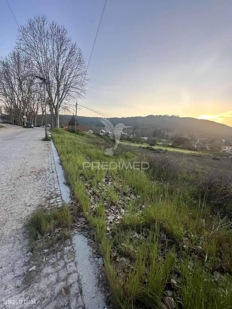 Terreno de 9.991 m² em Vidago – Oportunidade Única! - Grande imagem: 3/9