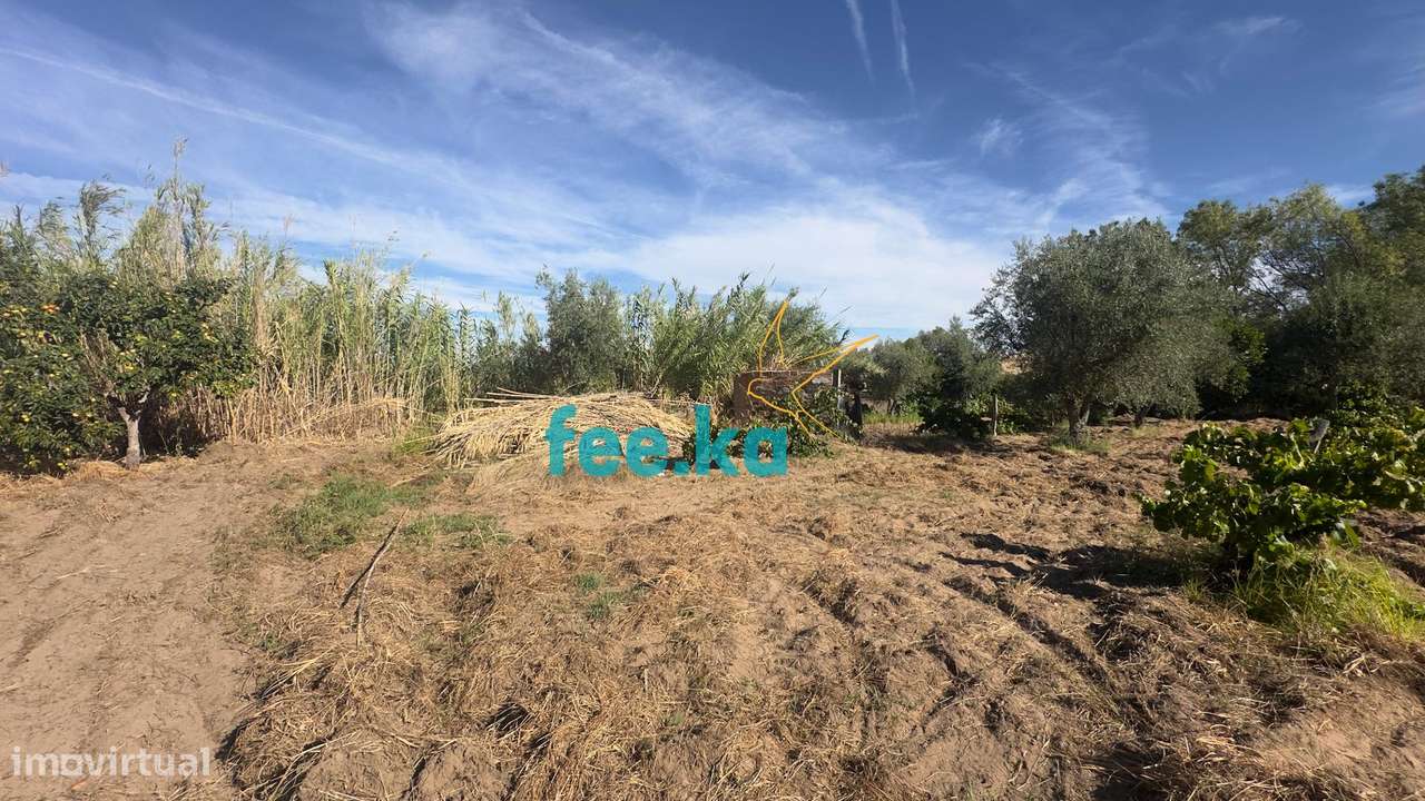 Terreno em Ladoeiro-9
