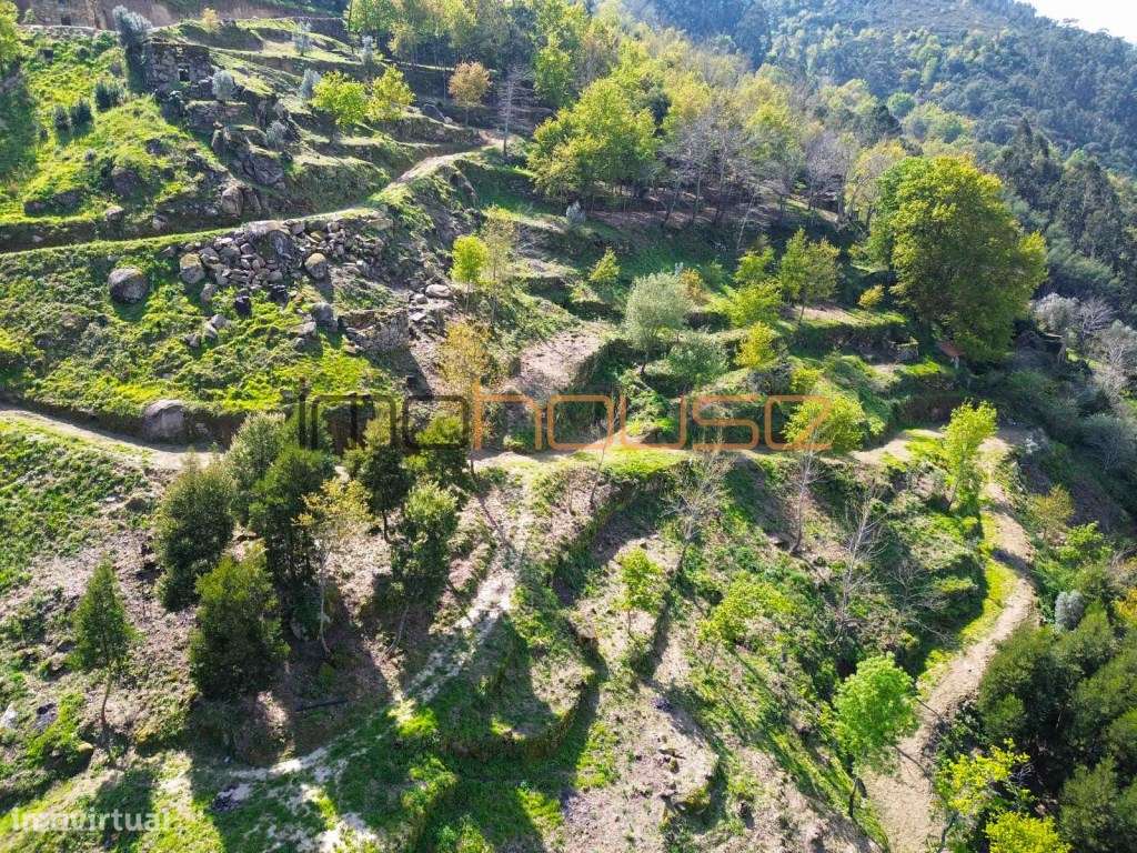 Quinta com frente de Rio Douro-16