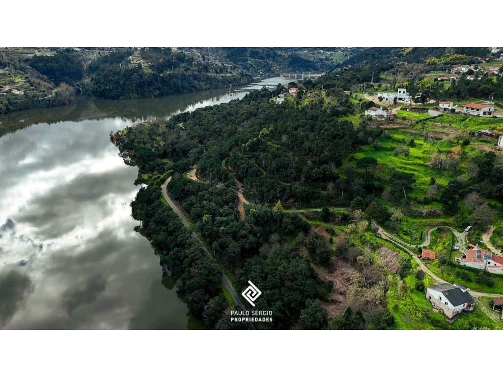 Terreno de 22.000m2 junto ao rio Douro Já teve projeto aprovado par... - Grande imagem: 5/14