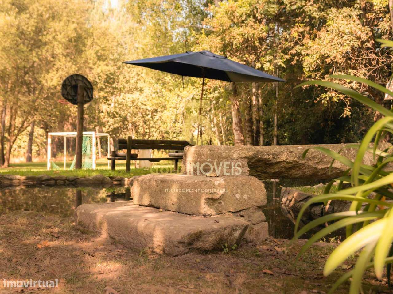 Terreno Rústico  Venda em Pinheiro da Bemposta, Travanca e Palmaz,Oliv - Grande imagem: 4/23